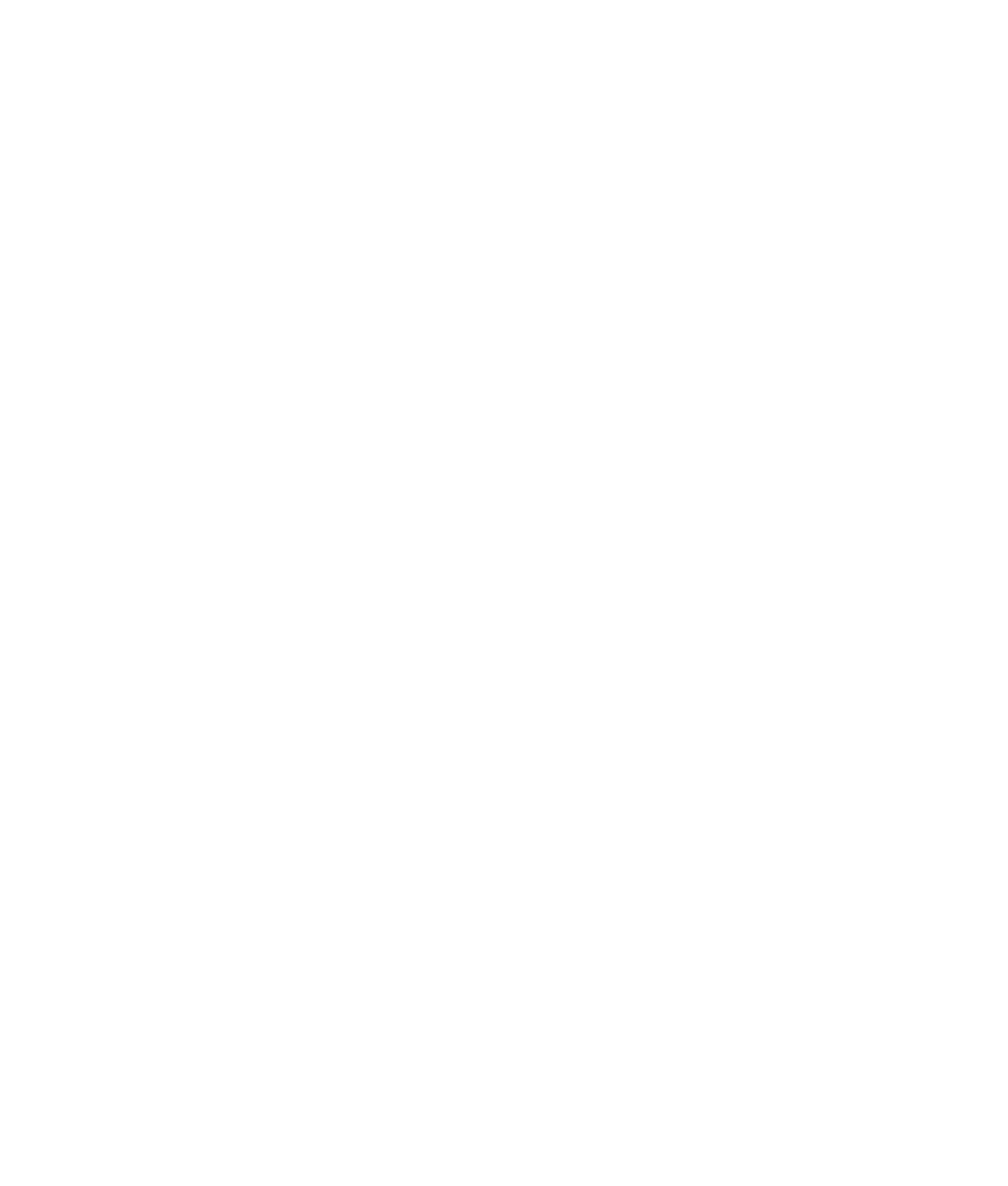 Mesh and Bone
